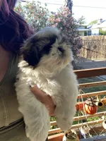 processed/c6a2fb45-166e-494e-978e-b54b9d995209/facility/7dc5bf98-79f9-46bd-8345-4b35936f8f6f