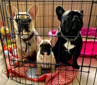 processed/c6a2fb45-166e-494e-978e-b54b9d995209/facility/81c2713b-9672-4013-a84c-0ec5bbbaabb1