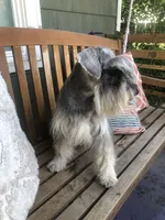 processed/c6a2fb45-166e-494e-978e-b54b9d995209/facility/85327757-c817-4e64-b831-b1186d06b67d