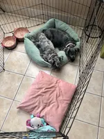 processed/c6a2fb45-166e-494e-978e-b54b9d995209/facility/a937617b-3e6a-446f-8e77-f67e69bf72fe