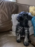 processed/c6a2fb45-166e-494e-978e-b54b9d995209/facility/cbd660b0-ce89-4aa3-b36a-4acd3eb1906a