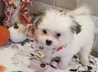 processed/c6af2796-d172-49a7-a491-b29bbe7c2e18/listing/115c5865-0eb9-4f4a-86d3-a5aafa0ef6b7/182b0e44-7c36-4d89-aaf5-d4f941943777