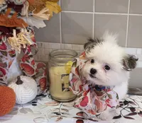 processed/c6af2796-d172-49a7-a491-b29bbe7c2e18/listing/115c5865-0eb9-4f4a-86d3-a5aafa0ef6b7/75a7f4c1-80c6-499e-9a16-454b919e66a2