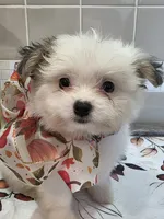 processed/c6af2796-d172-49a7-a491-b29bbe7c2e18/listing/115c5865-0eb9-4f4a-86d3-a5aafa0ef6b7/a0409bf6-a793-4460-ad06-c30faf9299e3