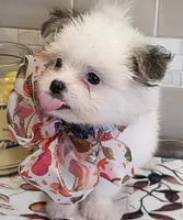 processed/c6af2796-d172-49a7-a491-b29bbe7c2e18/listing/115c5865-0eb9-4f4a-86d3-a5aafa0ef6b7/c610a34b-fa17-4c30-a45a-80651d5bf079