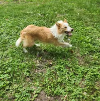 processed/c6b9402a-0240-41d5-ad4f-0721df4d601f/facility/00e2b696-ed23-43f7-9fc9-7a6bce6d7afd