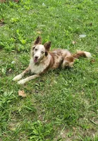 processed/c6b9402a-0240-41d5-ad4f-0721df4d601f/facility/85c1bf8c-5bd9-49b1-a10e-b7fa71ed781d