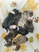 processed/c6b9402a-0240-41d5-ad4f-0721df4d601f/facility/dd1b6ec5-ca3e-46ad-b420-2cf9d60c82f4