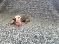 processed/c6b9402a-0240-41d5-ad4f-0721df4d601f/listing/3bb09b8a-b576-4f7d-ba07-42c8ef2030b5/1eaf079f-8202-4820-ae6b-4c24830833bd