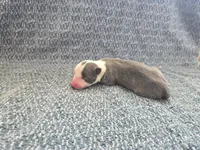 processed/c6b9402a-0240-41d5-ad4f-0721df4d601f/listing/3bb09b8a-b576-4f7d-ba07-42c8ef2030b5/3cf5ab6e-8b57-4c7d-9244-7635f8133d1a