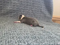 processed/c6b9402a-0240-41d5-ad4f-0721df4d601f/listing/3bb09b8a-b576-4f7d-ba07-42c8ef2030b5/d10cef3d-495c-4ab9-a2dc-4ddc558bff84