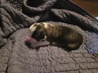 processed/c6b9402a-0240-41d5-ad4f-0721df4d601f/listing/4ac28269-92e4-4e32-942e-006e3162dc6e/6f8105fa-5b09-451d-9f0e-521d5d98f72b