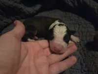 processed/c6b9402a-0240-41d5-ad4f-0721df4d601f/listing/4ac28269-92e4-4e32-942e-006e3162dc6e/a49fc913-a9c8-47d7-b6b5-5556f72c4963