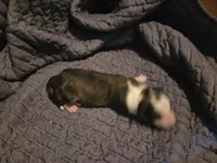 processed/c6b9402a-0240-41d5-ad4f-0721df4d601f/listing/4ac28269-92e4-4e32-942e-006e3162dc6e/a58db8e0-ff38-44fa-9e77-9c8b42e36dc9