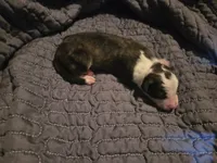 processed/c6b9402a-0240-41d5-ad4f-0721df4d601f/listing/4ac28269-92e4-4e32-942e-006e3162dc6e/b7165c81-535b-4417-ac05-985572d64a34