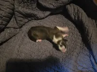 processed/c6b9402a-0240-41d5-ad4f-0721df4d601f/listing/4ac28269-92e4-4e32-942e-006e3162dc6e/f77eca78-3a34-4434-96c6-1a0ca9f07dbd