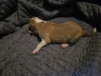 processed/c6b9402a-0240-41d5-ad4f-0721df4d601f/listing/589e1816-0ce3-4ad9-8af4-e75c7197074c/1dec8190-9cc0-4458-9fcd-b11b7405a373