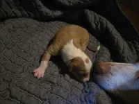 processed/c6b9402a-0240-41d5-ad4f-0721df4d601f/listing/589e1816-0ce3-4ad9-8af4-e75c7197074c/3489039b-b6e9-4b53-8589-6037015eddda