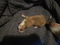 processed/c6b9402a-0240-41d5-ad4f-0721df4d601f/listing/589e1816-0ce3-4ad9-8af4-e75c7197074c/eb9a9904-40a7-422f-974b-0ca48bea6b75