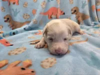 processed/c6b9402a-0240-41d5-ad4f-0721df4d601f/listing/83b781bc-14e2-410d-aaf0-e32623ffda4b/26b2a32e-b99c-410b-bead-50304f690229