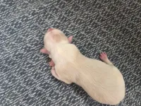 processed/c6b9402a-0240-41d5-ad4f-0721df4d601f/listing/83b781bc-14e2-410d-aaf0-e32623ffda4b/354f2bc0-a483-41a5-bdf1-2fe82c4f6e1f