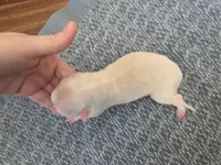 processed/c6b9402a-0240-41d5-ad4f-0721df4d601f/listing/83b781bc-14e2-410d-aaf0-e32623ffda4b/394bf835-b2ee-45b6-8d7b-78bf7ae4d274