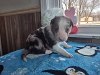 processed/c6b9402a-0240-41d5-ad4f-0721df4d601f/listing/8ffc9121-ac02-4121-8132-0b8a23ccddc3/42ff22ea-f106-4cb1-b529-7b78bf398137