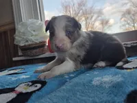 processed/c6b9402a-0240-41d5-ad4f-0721df4d601f/listing/8ffc9121-ac02-4121-8132-0b8a23ccddc3/6722863f-3e99-45f7-a43c-cd7f9038e80b