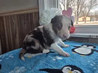 processed/c6b9402a-0240-41d5-ad4f-0721df4d601f/listing/8ffc9121-ac02-4121-8132-0b8a23ccddc3/6f1db07c-d23a-460b-a2b6-f461c3f07e73