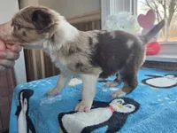 processed/c6b9402a-0240-41d5-ad4f-0721df4d601f/listing/8ffc9121-ac02-4121-8132-0b8a23ccddc3/a04423af-88a9-46e8-822d-74ce15d44ebc