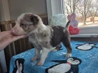 processed/c6b9402a-0240-41d5-ad4f-0721df4d601f/listing/8ffc9121-ac02-4121-8132-0b8a23ccddc3/ed3458cd-0b9c-43c8-8964-a356ec250e01