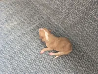 processed/c6b9402a-0240-41d5-ad4f-0721df4d601f/listing/cd42fd44-c090-4acf-8060-ecf71a5d2114/298b278c-171f-47a1-b9d4-431955622f63