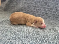 processed/c6b9402a-0240-41d5-ad4f-0721df4d601f/listing/cd42fd44-c090-4acf-8060-ecf71a5d2114/92a1912f-a1d3-4d7b-845a-a4b4af75afa2