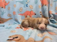 processed/c6b9402a-0240-41d5-ad4f-0721df4d601f/listing/cd42fd44-c090-4acf-8060-ecf71a5d2114/adc94768-d3bc-42f6-be99-49993c3e7f10