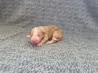 processed/c6b9402a-0240-41d5-ad4f-0721df4d601f/listing/cd42fd44-c090-4acf-8060-ecf71a5d2114/c2e10d49-fbed-46d8-8a5e-ed992b5bde5e