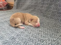 processed/c6b9402a-0240-41d5-ad4f-0721df4d601f/listing/cd42fd44-c090-4acf-8060-ecf71a5d2114/c4a2e3ac-1055-4ea5-a91c-ab21f514fa86