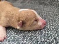 processed/c6b9402a-0240-41d5-ad4f-0721df4d601f/listing/cd42fd44-c090-4acf-8060-ecf71a5d2114/e1b14f66-9c3b-495e-867b-ea49b13c9d64