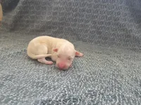 processed/c6b9402a-0240-41d5-ad4f-0721df4d601f/listing/e67ef072-5623-4afc-ae6f-6998d3461ae8/1ddeb1fd-b4e0-4d39-83f5-3e6fa334c5d5