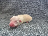 processed/c6b9402a-0240-41d5-ad4f-0721df4d601f/listing/e67ef072-5623-4afc-ae6f-6998d3461ae8/55d85349-d78a-45bf-90ed-2ecfe3261877