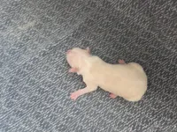 processed/c6b9402a-0240-41d5-ad4f-0721df4d601f/listing/e67ef072-5623-4afc-ae6f-6998d3461ae8/633d5541-5319-4aa2-891e-6b45a6376b79