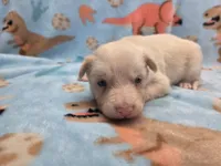 processed/c6b9402a-0240-41d5-ad4f-0721df4d601f/listing/e67ef072-5623-4afc-ae6f-6998d3461ae8/a2fd165b-c216-4609-ae68-c89cb72fe57c