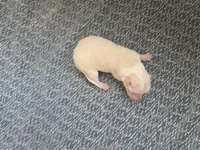 processed/c6b9402a-0240-41d5-ad4f-0721df4d601f/listing/e67ef072-5623-4afc-ae6f-6998d3461ae8/b48aaad9-ffef-41da-bc7e-851b7fefd028