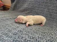 processed/c6b9402a-0240-41d5-ad4f-0721df4d601f/listing/e67ef072-5623-4afc-ae6f-6998d3461ae8/b99472a0-d1ab-44e3-9305-4f876bfd121f