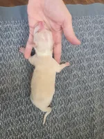 processed/c6b9402a-0240-41d5-ad4f-0721df4d601f/listing/e67ef072-5623-4afc-ae6f-6998d3461ae8/f549b2bd-c58e-49b5-b974-1d819d26a997