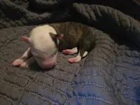 processed/c6b9402a-0240-41d5-ad4f-0721df4d601f/listing/ec01b092-1fd0-4c22-a735-56a4846f753f/0b7d5e03-52d2-4071-af2b-972b825b04c7