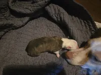 processed/c6b9402a-0240-41d5-ad4f-0721df4d601f/listing/ec01b092-1fd0-4c22-a735-56a4846f753f/1eba026e-a59a-4c0d-98a4-b0042c2c73da