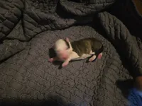 processed/c6b9402a-0240-41d5-ad4f-0721df4d601f/listing/ec01b092-1fd0-4c22-a735-56a4846f753f/2253e337-c490-4f8f-8169-3f2881113949