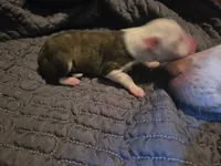 processed/c6b9402a-0240-41d5-ad4f-0721df4d601f/listing/ec01b092-1fd0-4c22-a735-56a4846f753f/2e259272-d571-4468-ac6c-c981971c6c0d