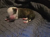 processed/c6b9402a-0240-41d5-ad4f-0721df4d601f/listing/ec01b092-1fd0-4c22-a735-56a4846f753f/4eb09a15-6c67-4882-a1be-0e11dff7866c