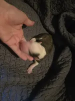 processed/c6b9402a-0240-41d5-ad4f-0721df4d601f/listing/ec01b092-1fd0-4c22-a735-56a4846f753f/8af5755b-5ff1-4d86-871c-270e9e672ff6